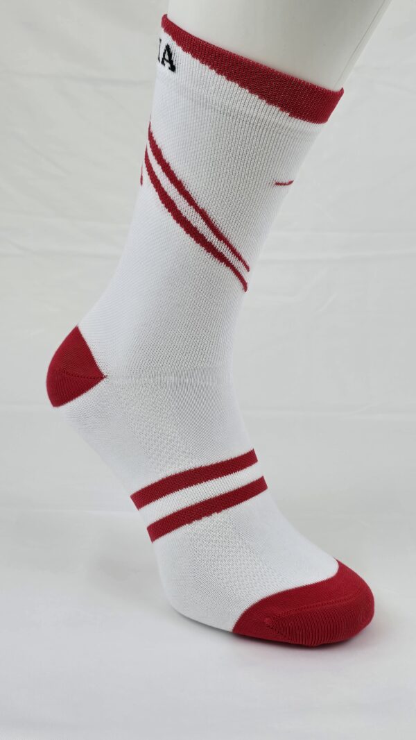 Socken- SIXNineSIX-Austria – Bild 2