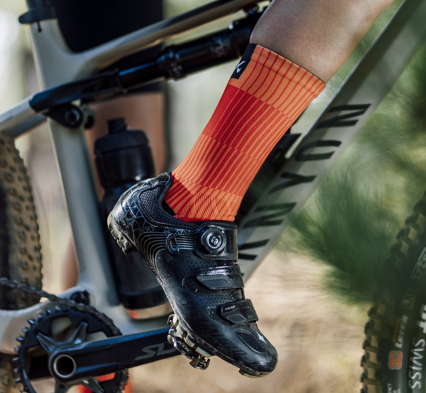 Slight Orange Crew Socken von Sox Footwear – Bild 4